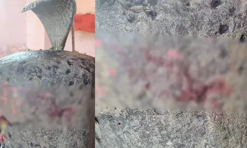मुस्लिम युवक ने हाथ काटकर शिवलिंग पर चढ़ाया खून