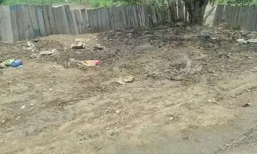 गांव पलड़ी में गोवंशों की दुर्दशा पर मचा हड़कंप