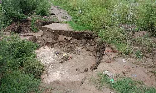 राजवाड़े की पटरी टूटी, रजवाहे का पानी खेतों में घुसा, फसलें तबाह