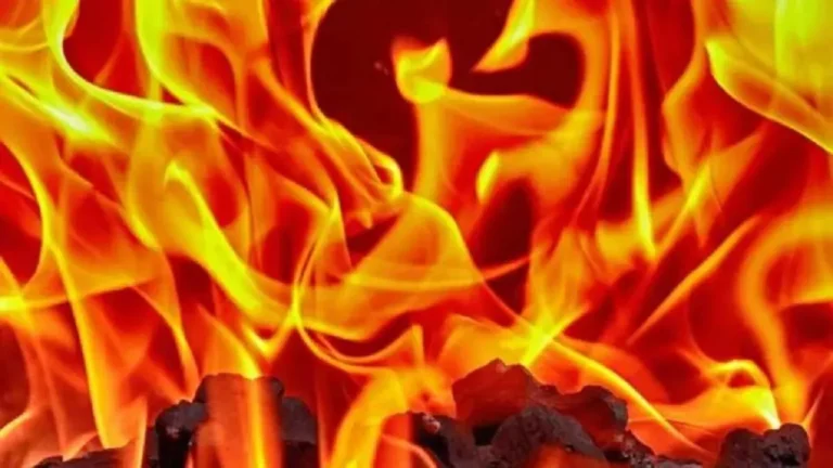 गांव जौला में आधी रात लगी भयंकर आग, दस लाख का नुकसान