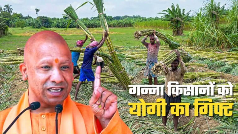 30 रुपये प्रति कुंतल बढ़ा गन्ने का मूल्य- योगी 