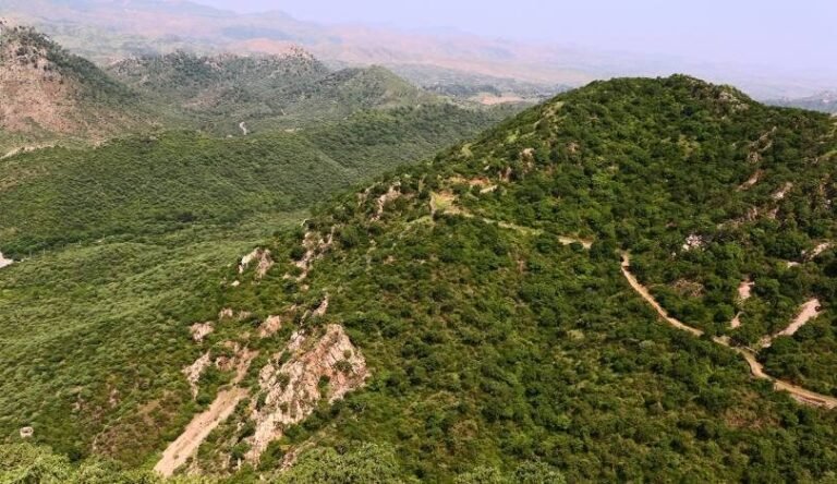 अरावली में खनन पर पूरी तरह रोक: केंद्र सरकार के सख्त निर्देश, राज्यों को नई लीज न देने का आदेश