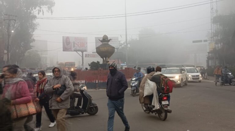 छुट्टी के बाद खुले स्कूल, कोहरे और शीतलहर में ठिठुरते हुए पहुंचे बच्चे