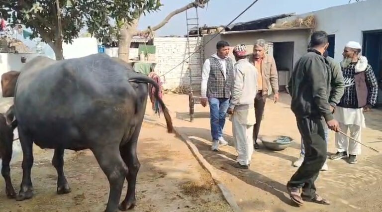 पशुओं की बीमारी से बेखर विभाग जागा, घेराव के ऐलान पर गांव में दौड़े अफसर